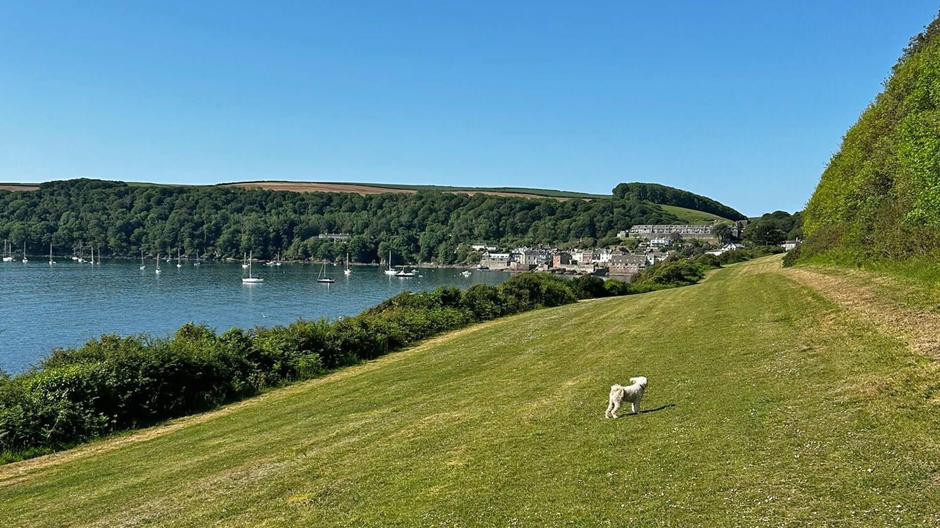 Kingsand Yoga Session
